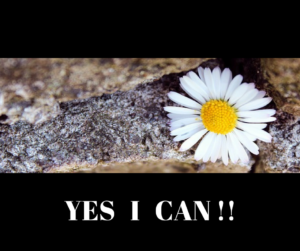 YES I CAN !! (1)